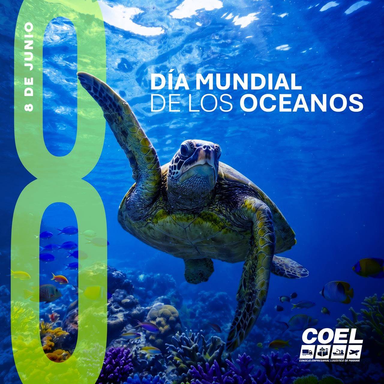 imagen-p